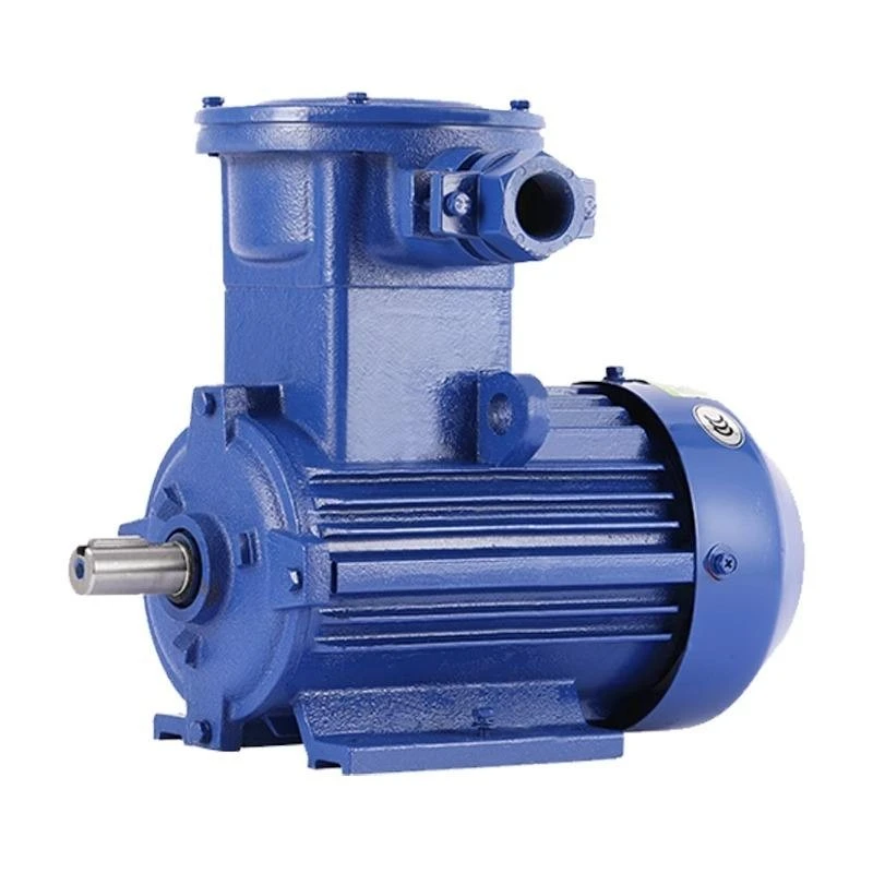 Professional Explosion Proof Motor Professional Explosion Proof Motor