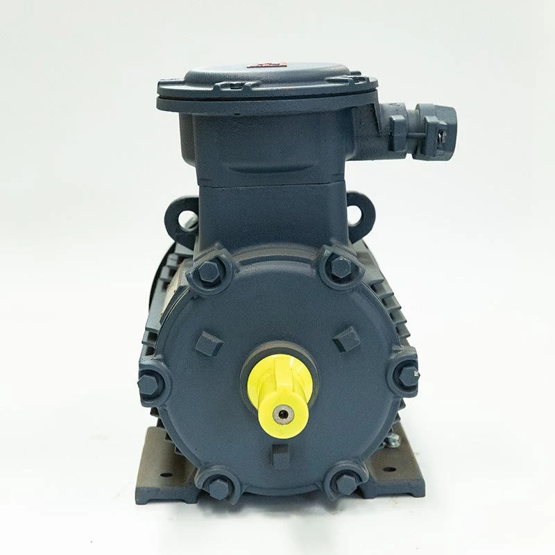 Professional Explosion Proof Motor factory Professional Explosion Proof Motor factory